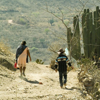 Forensic Commission Created to Investigate Crimes against Migrants